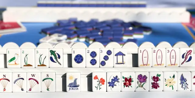 Ivey Lee Mahjong The La Jolla Tiles